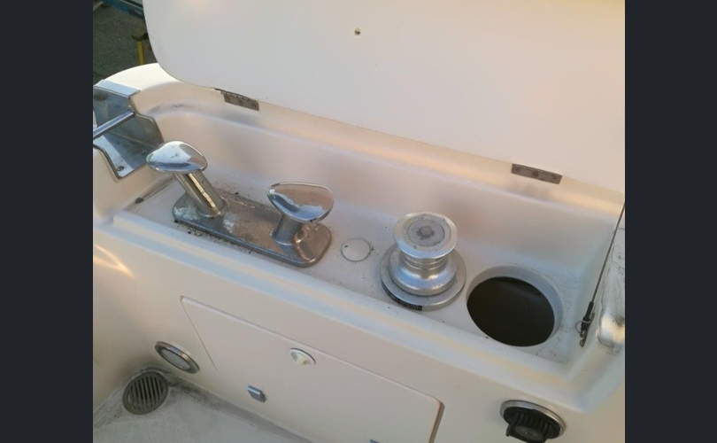 Cayman 38 WA Walkaround-kuva-12